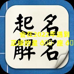 会在2022年遇到正缘的星 🌷 座 💐